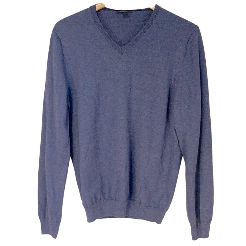 Gap Mens Extra Fine Merino Wool V Neck Sweater Blue Heather Large